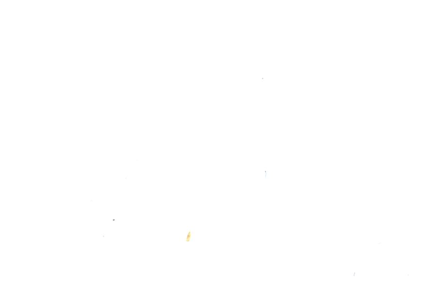Image 31